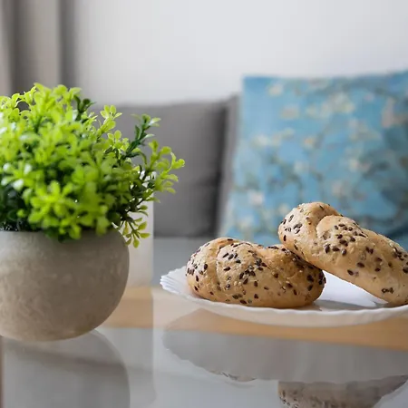 Modern In Center, Remote Working, Smart Tv & Wifi By Renters